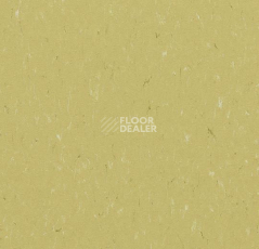 Линолеум Forbo Marmoleum Decibel on Order 363435 meadow фото 1 | FLOORDEALER